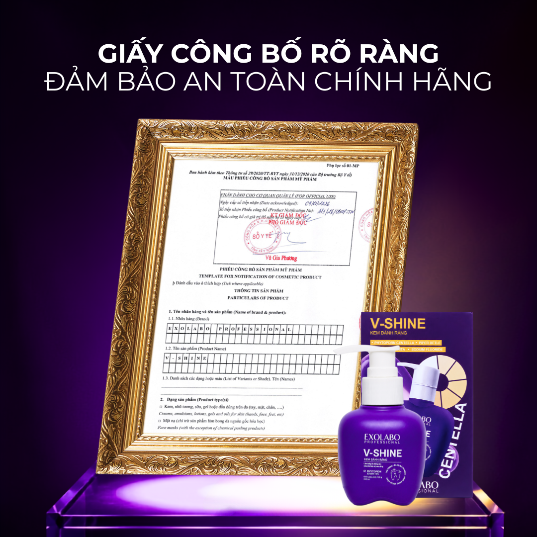Phiếu công bố V-Shine